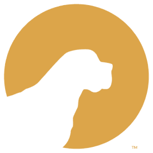 pet care ins logo pet care ins logo