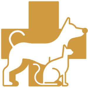 red cross pet first aid logo red cross pet first aid logo